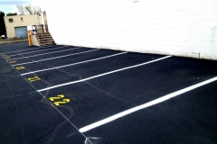 photo7